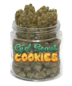 GSC