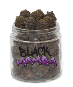 Black Mamba