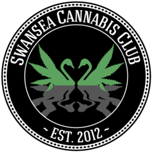 swanseacanabisclub.co.uk